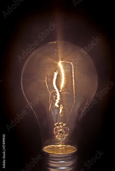 Obraz Light Bulb on Black