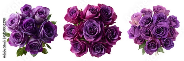 Obraz Set of A bouquet of vibrant purple roses with fresh green leaves on transparent png background. Ai generated