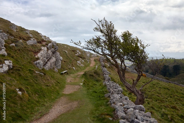 Obraz View on mountain.