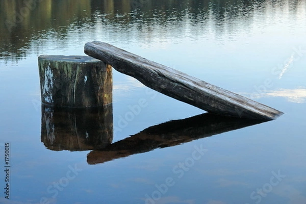 Obraz holz im see