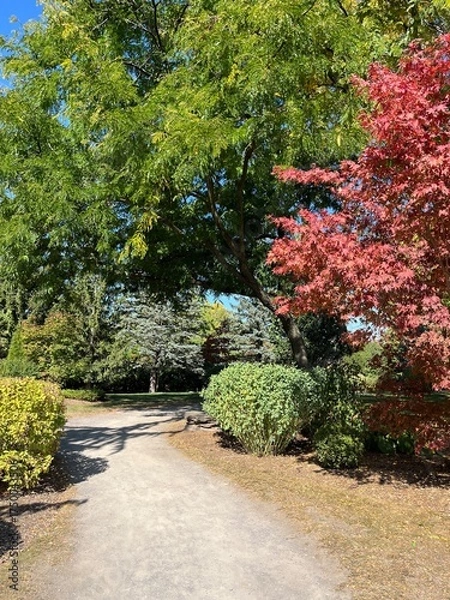 Obraz Autumn in full bloom