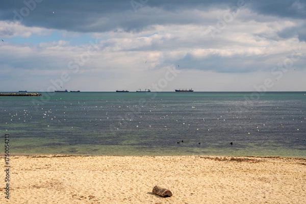 Obraz a tranquil Black Sea landscape with numerous seagulls under a slightly cloudy sky.
