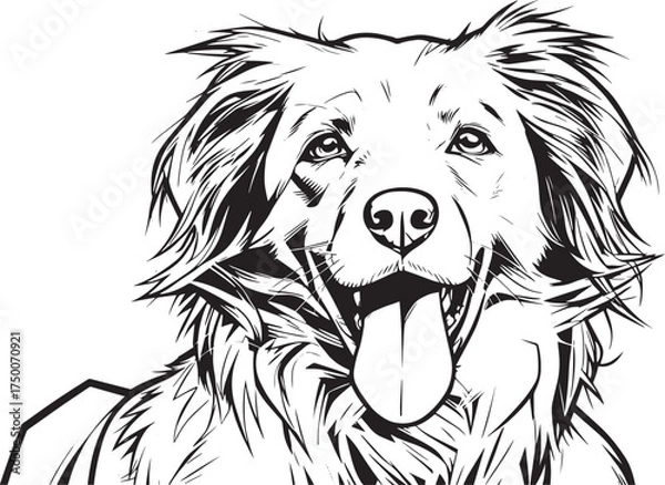 Obraz selective-focus-shot-adorable-kooikerhondje-dog vector line art