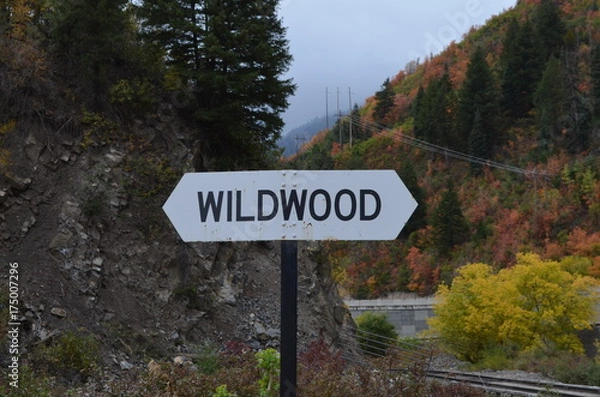 Obraz Fall 2017 Pt. 2