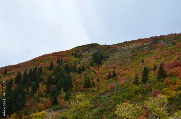 Obraz Fall 2017 Pt. 2