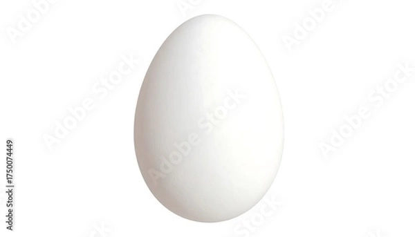 Fototapeta Single White Chicken Egg.