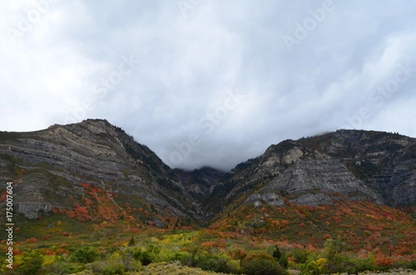 Obraz Fall 2017 Pt. 2