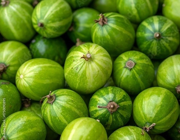Fototapeta A close-up perspective showcases a collection of small, round, green fruits with light green stripes, arranged closely together