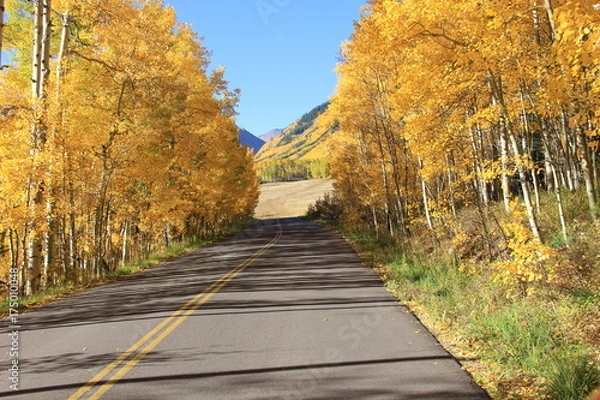 Obraz Fall Colors Landscape