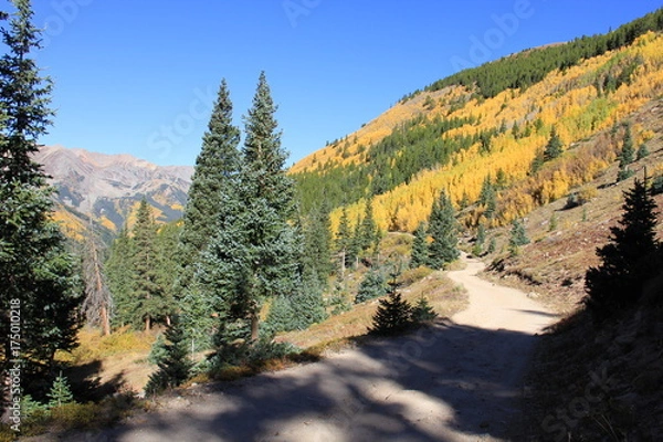 Obraz Fall Colors Landscape