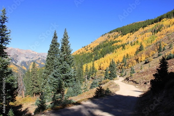 Obraz Fall Colors Landscape