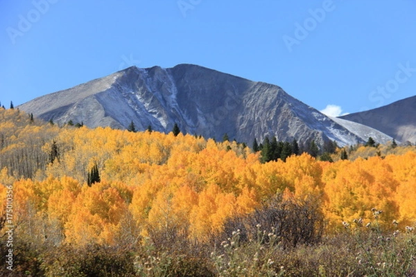 Obraz Fall Colors Landscape