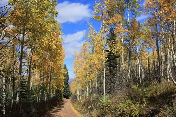 Obraz Fall Colors Landscape