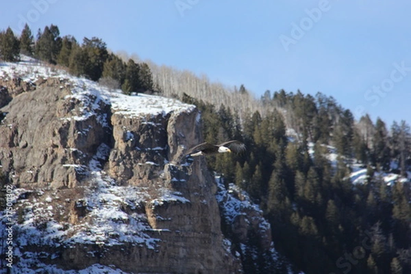 Obraz Snowy Landscape