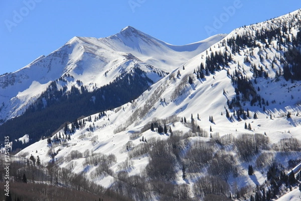 Obraz Winter landscape