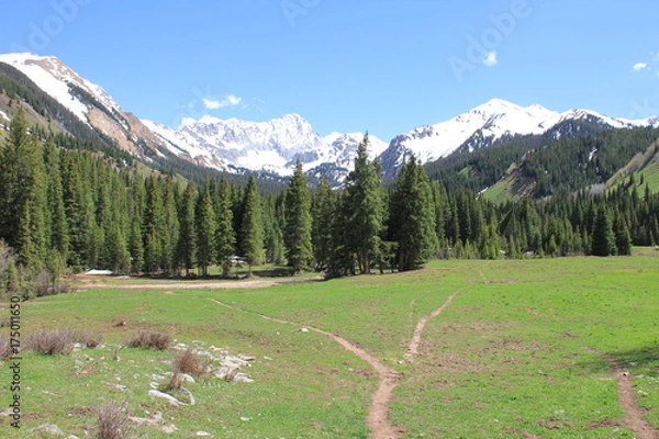 Obraz Mountain Landscape