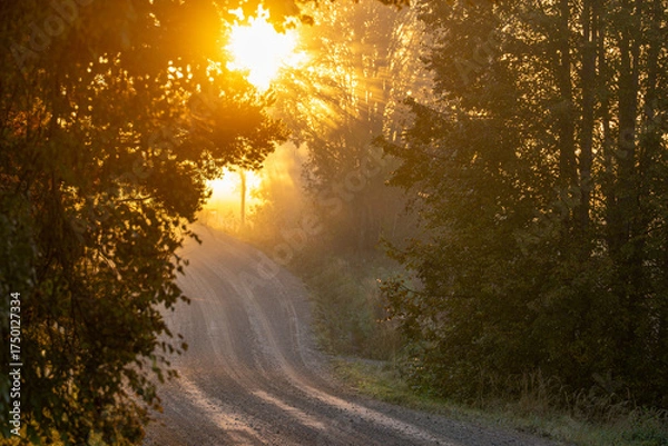 Obraz sun rays in the morning