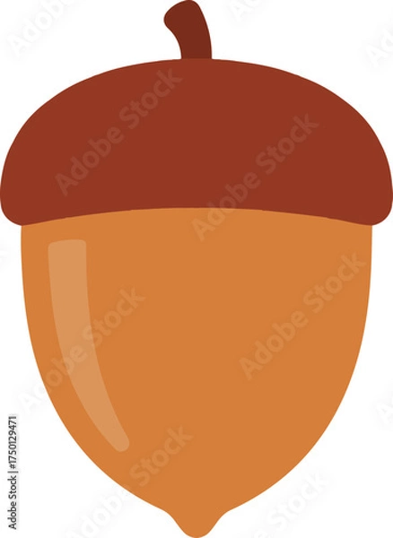 Obraz Single brown acorn, simple flat design vector illustration

