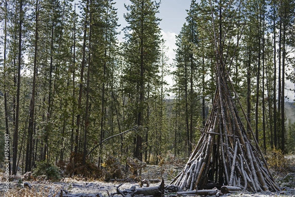 Obraz Homemade Teepee Tent