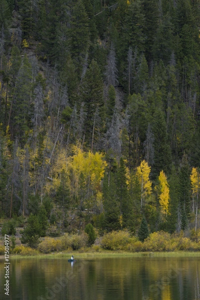 Obraz Fall Fisherman