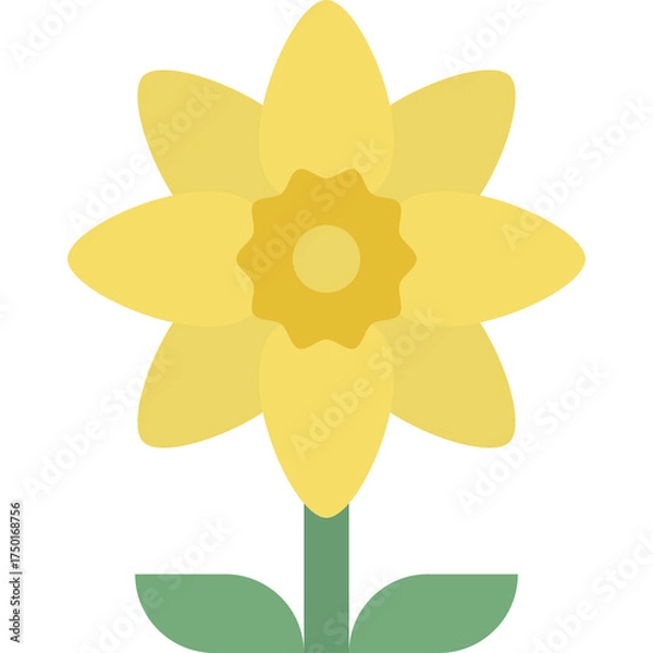Fototapeta A yellow daffodil flower with a green stem and two leaves against a white background on a spring day symbolizing rebirth and new beginnings in a flat design style.