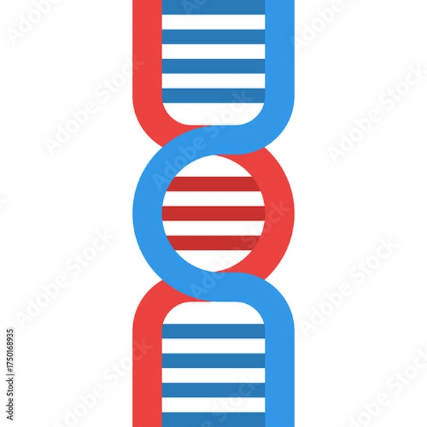 Fototapeta Abstract DNA Double Helix Structure Scientific Icon Representing Genetics and Biology in Blue and Red Colors with White Background