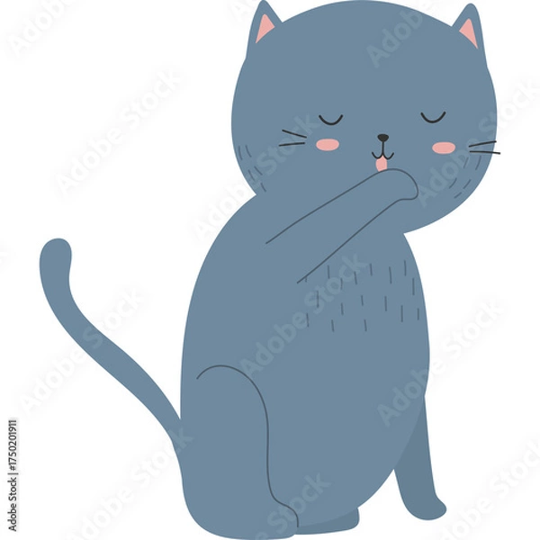 Fototapeta Cute Gray Cat Sitting and Licking its Paw with Closed Eyes and Pink Cheeks on Transparent Background