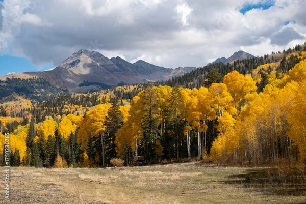 Fototapeta Fall colors in the San Juan Mountains of southwest Colorado, USA