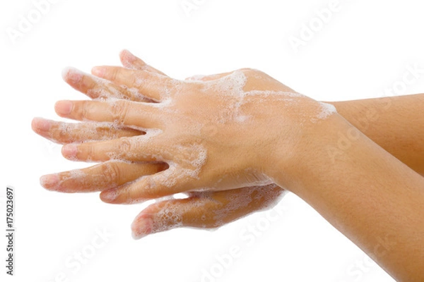 Obraz Hand washing medical procedure step isolated,Global handwashing day.