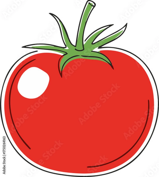 Fototapeta Illustration of a Red Tomato 