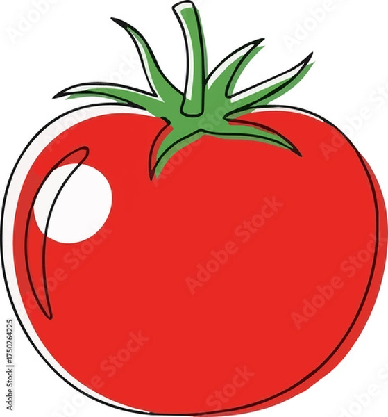 Fototapeta  Illustration of a Red Tomato