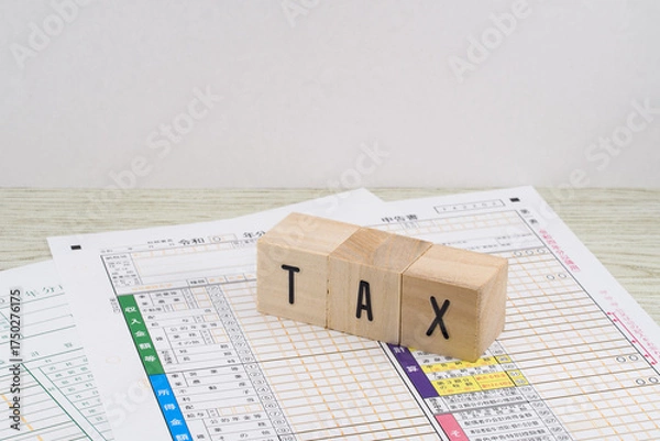 Obraz 青色確定申告書