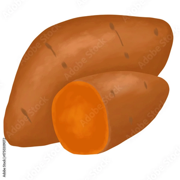 Obraz Sweet potatoes illustration
