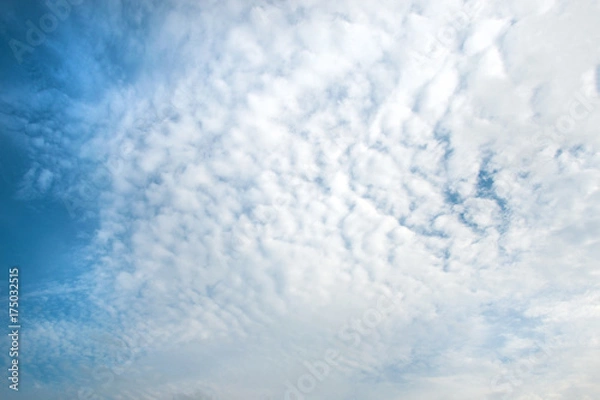 Fototapeta Cirrus clouds (background, texture)