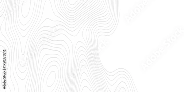 Fototapeta Abstract topography pattern seamless lines sea map modern design white background. Abstract digital topographic contour map concept space geometric strip grid line. Natural discovery of maps.	