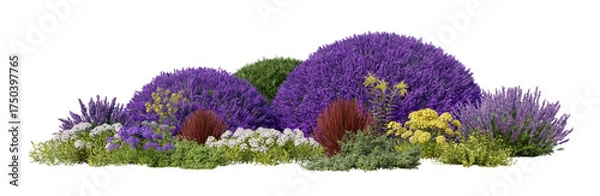 Obraz garden shrubs isolated on transparent background