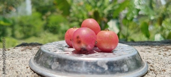 Obraz The bright red, round cherries are displayed in a metal container against a backdrop of green trees and a bright outdoor setting.