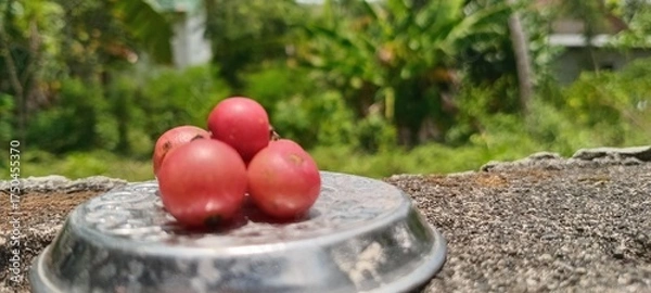 Obraz The bright red, round cherries are displayed in a metal container against a backdrop of green trees and a bright outdoor setting.