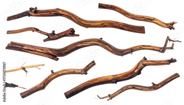 Fototapeta Isolated, weathered wooden branches against a black background