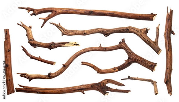 Fototapeta Several isolated, brown tree branches with irregular shapes on a black background