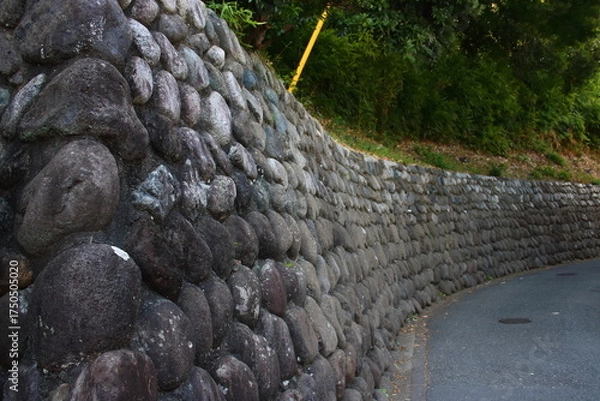 Obraz 石垣のある風景