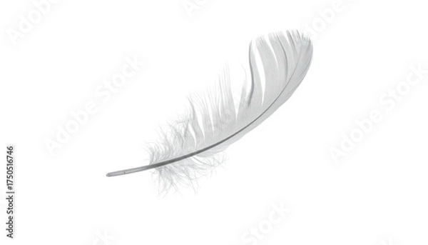 Obraz A single, pristine white feather gently floats against a stark, black background