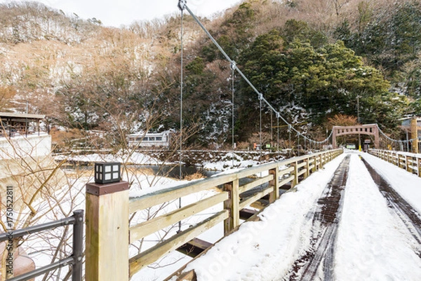 Obraz 冬化粧した湯原温泉街