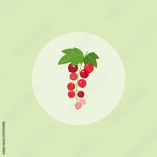 Obraz Red Currant Icon. Vector illustration