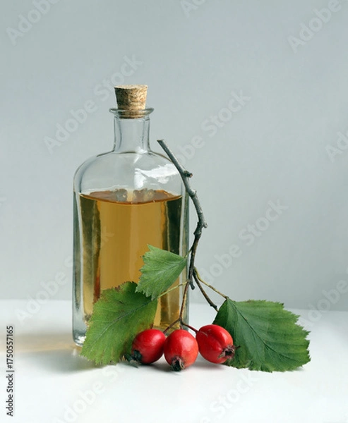 Obraz  Autumn still life with homemade hawthorn tinkture in a vintage glass bottle, and with hawthorn leaves and berries on a light background.