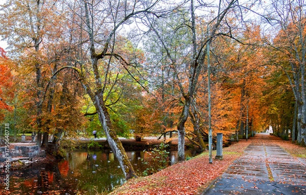 Obraz Late autumn in old public park