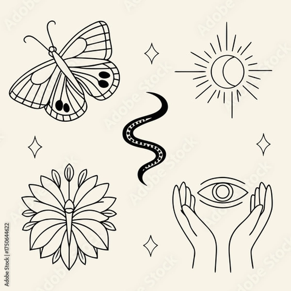 Obraz thin line icons butterfly snake cocoon and flower clipart set.svg