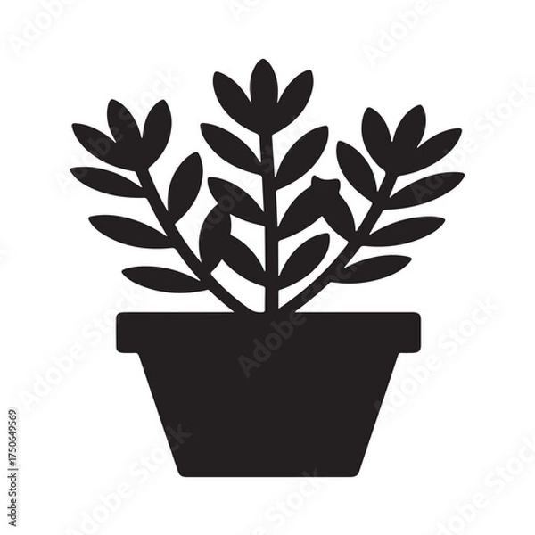 Obraz "Succulent Crassula Silhouette in Minimalist Simple Style"