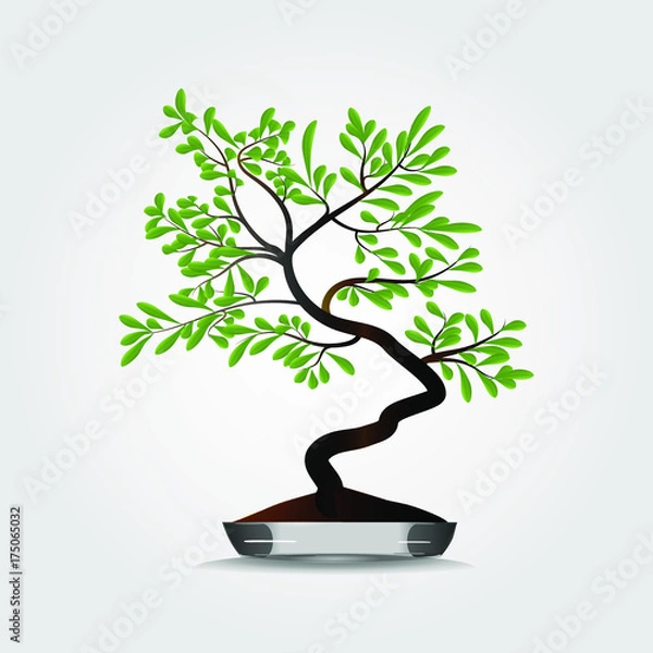 Obraz Bonsai tree in pot .Vector illustration.