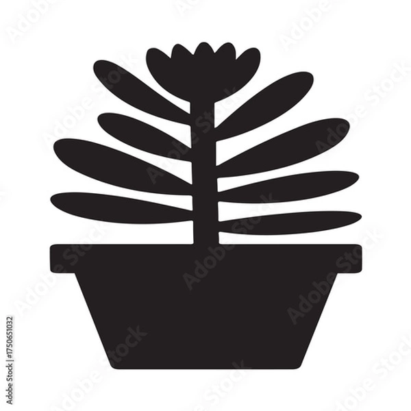 Obraz "Succulent Crassula Silhouette in Minimalist Simple Style"